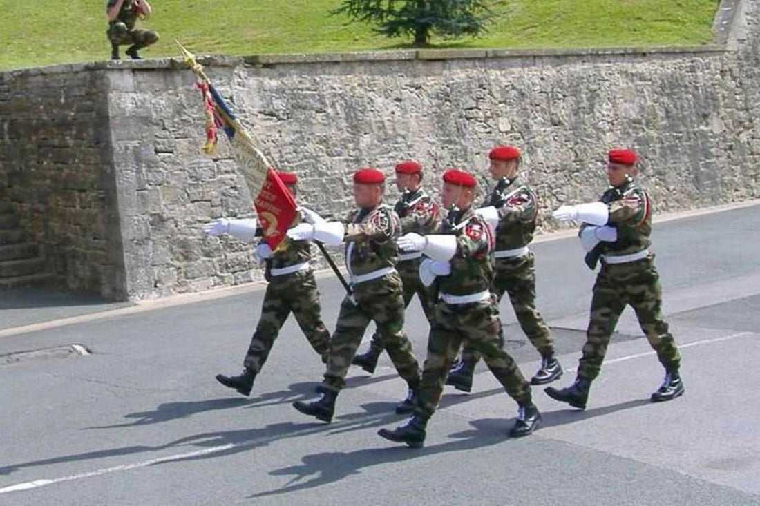 1er Régiment d'Infanterie de Marine : Histoire, missions et engagements