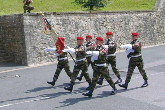 1er Régiment d'Infanterie de Marine : Histoire, missions et engagements