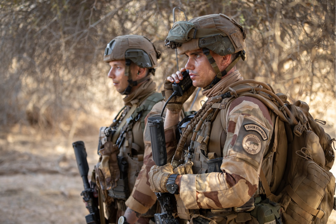 2e Régiment Étranger d'Infanterie : Histoire, missions et engagements