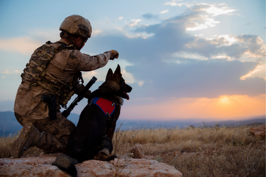 OPEX : soutien et accompagnement pour les familles des soldats