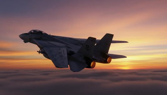 F14D : le monstre américain qui aurait dominé le Rafale en combat